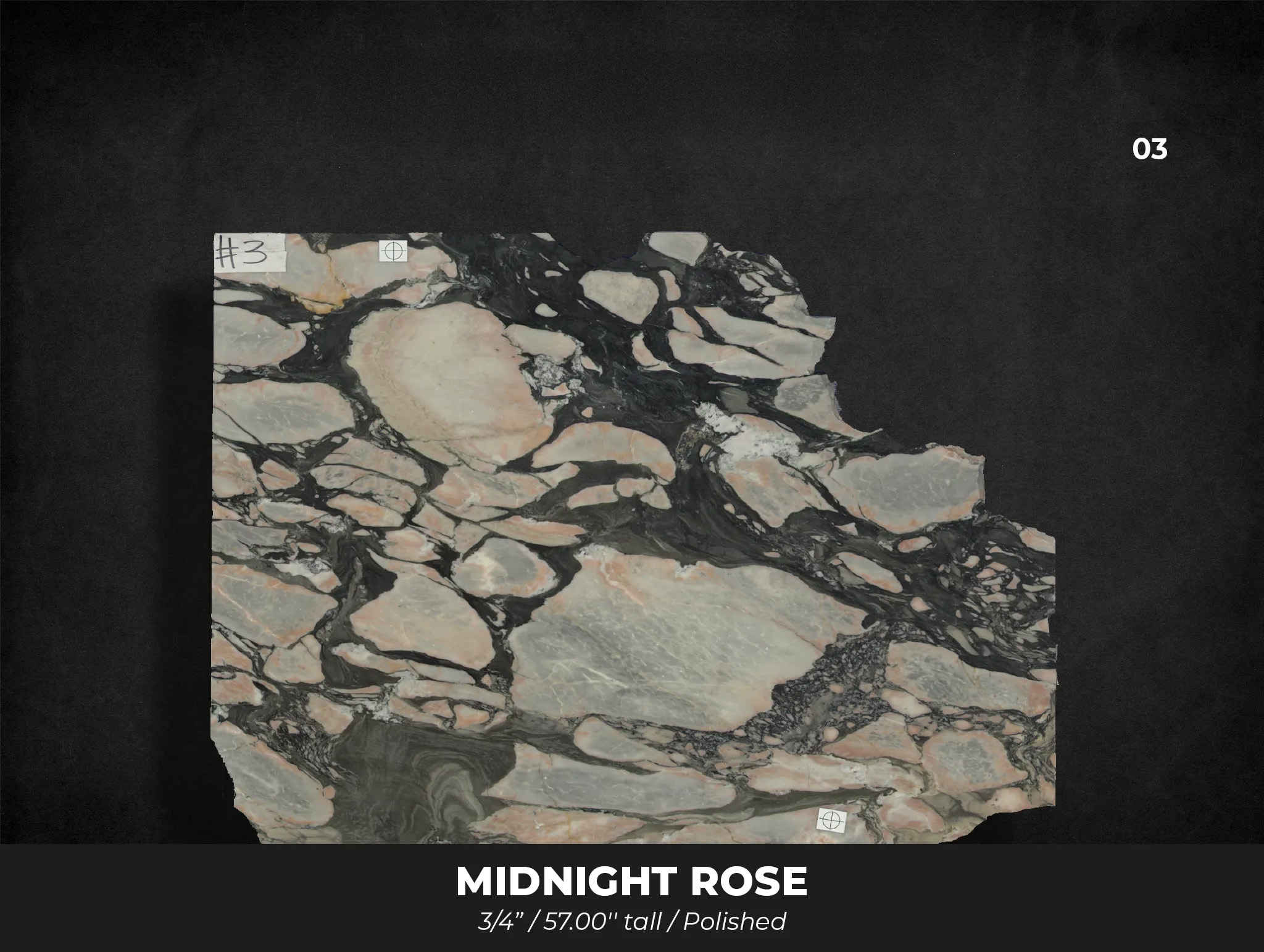 MIDNIGHT ROSE