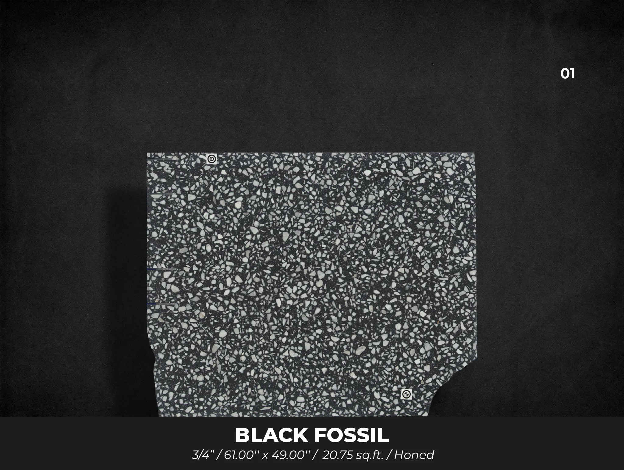 Black and White Terrazzo