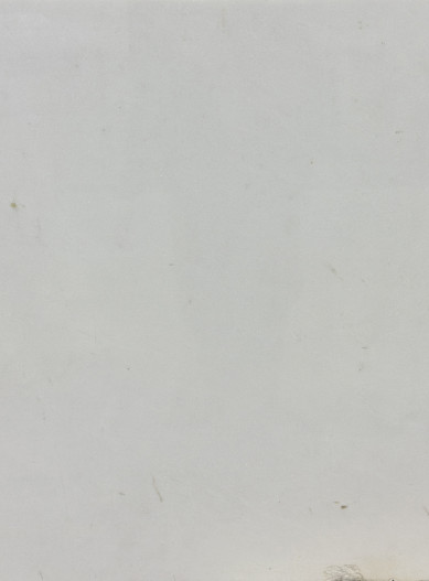 wm_194_1749220645_137419_remnant.jpeg wm_194_1749220645_137419_remnant.jpeg